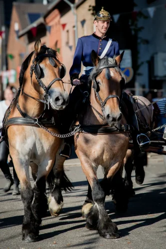 @AlineBecker-Bild-0343 ergebnis