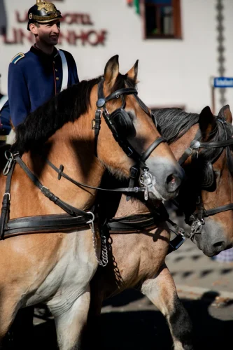 @AlineBecker-Bild-0344 ergebnis