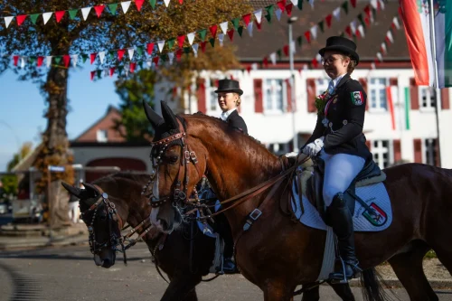 @AlineBecker-Bild-0397 ergebnis