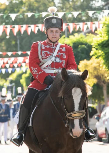 @AlineBecker-Bild-0737 ergebnis